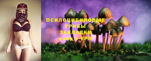 стаф Остров