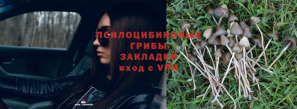 мяу мяу кристалл Осташков