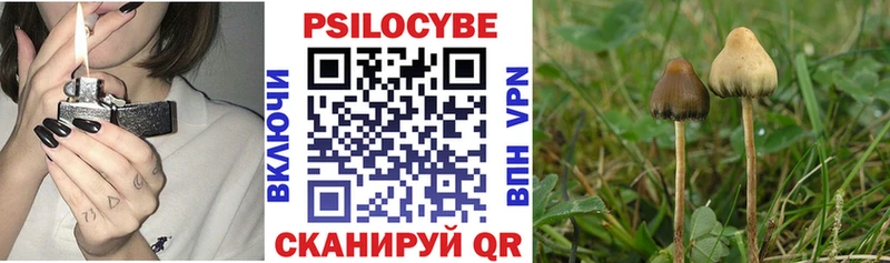 Галлюциногенные грибы Cubensis MEGA ссылки Усть-Лабинск